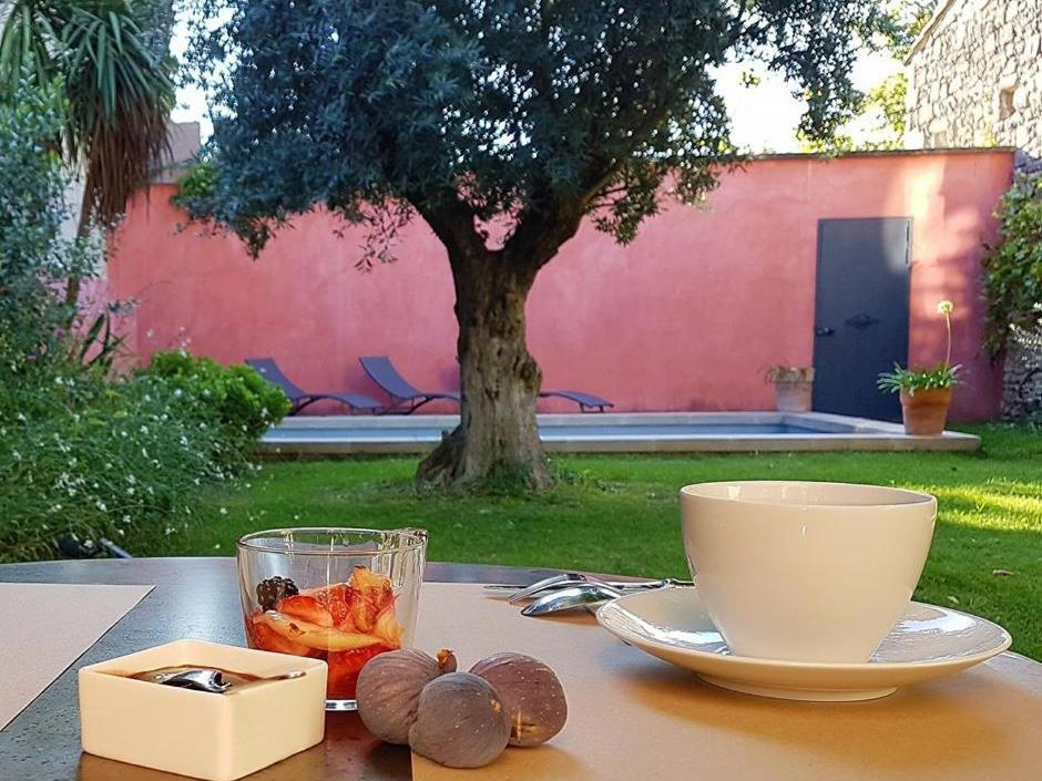 La Maison Des Marronniers Bed and Breakfast Uzès Exterior foto